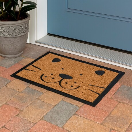 Alfombra Puerta Entrada Felpudo Coco Goma 40X60 Gato