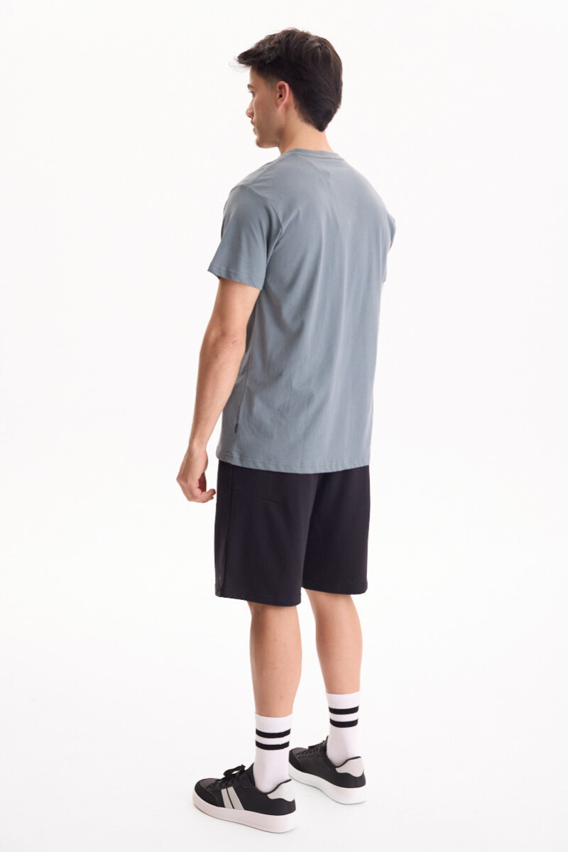 Remera Seaside Gris