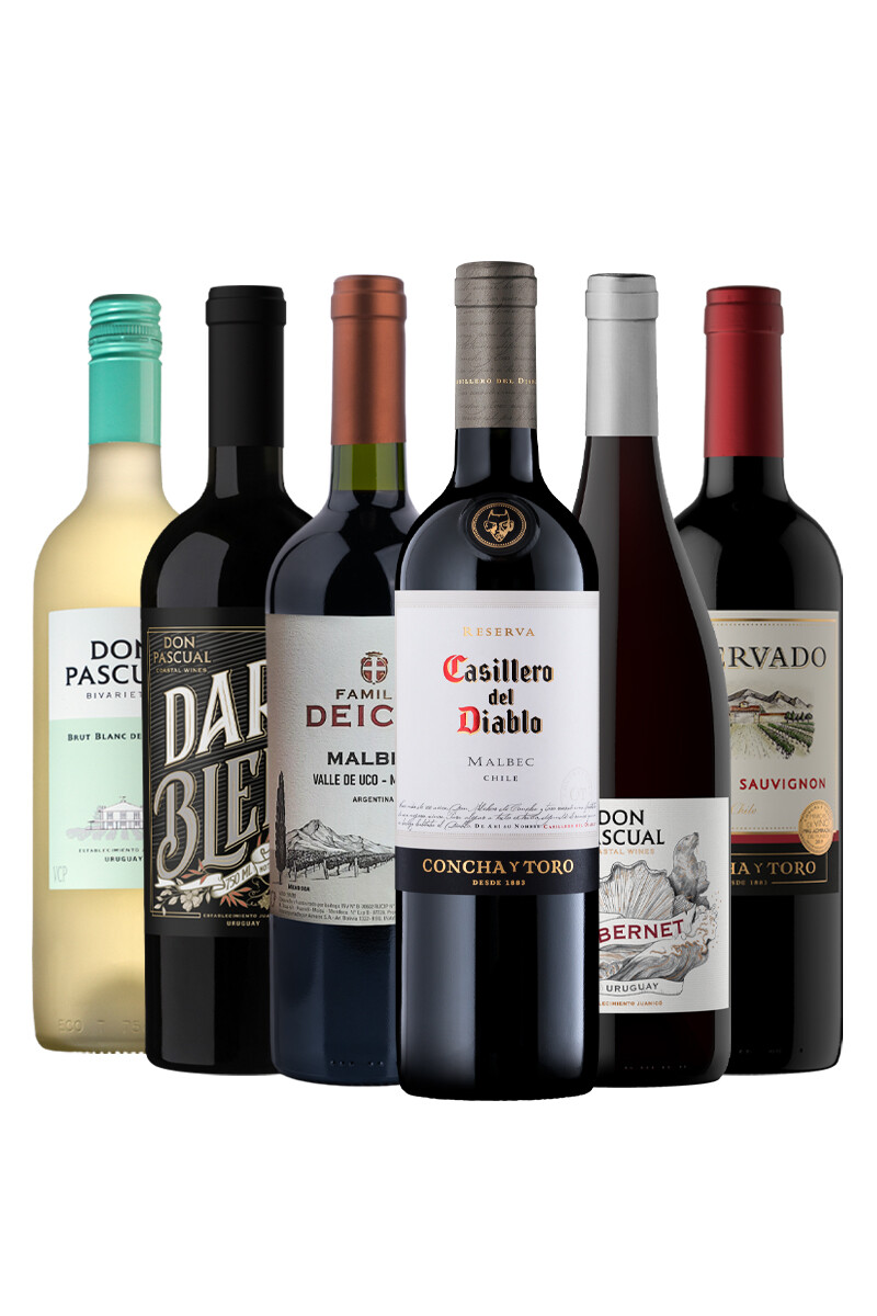 Pack Selección Best Seller de Junio x6 vinos Clásicos 
