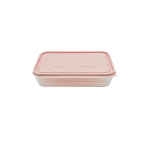 RECIPIENTE RECTANGULAR ELEGANT FRESHLIFE 2,5L SURTIDO RECIPIENTE RECTANGULAR ELEGANT FRESHLIFE 2,5L SURTIDO