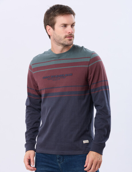 REMERA RAYADA BORDADA Verde