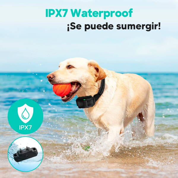 Collar De Entrenamiento Para Perros ADIESTRADOR DE PERROS COLLAR SMART