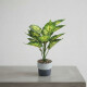 Planta Artificial 30cm Planta Artificial 30cm