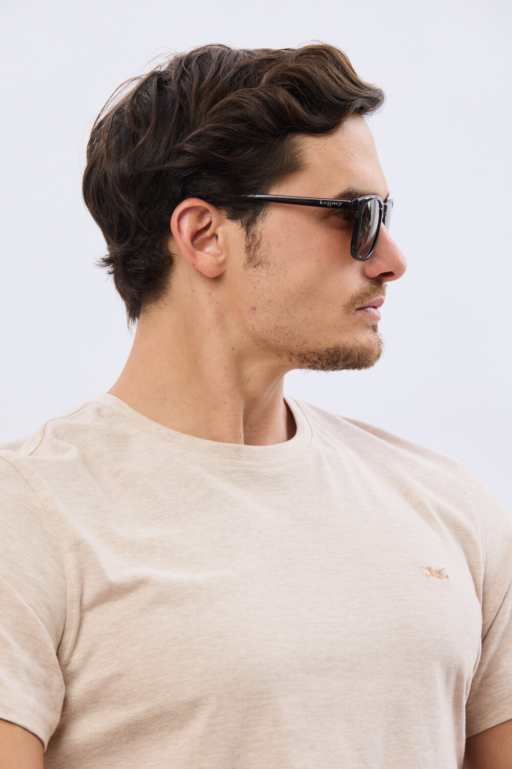 LENTES POLARIZADOS Marron