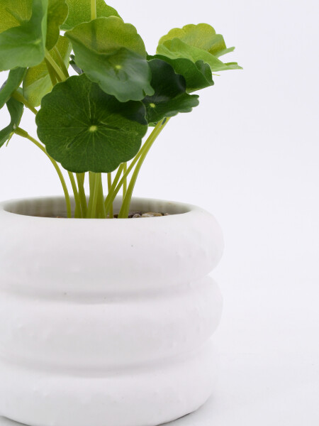 MACETA CERAMICA CON PLANTA BLANCO