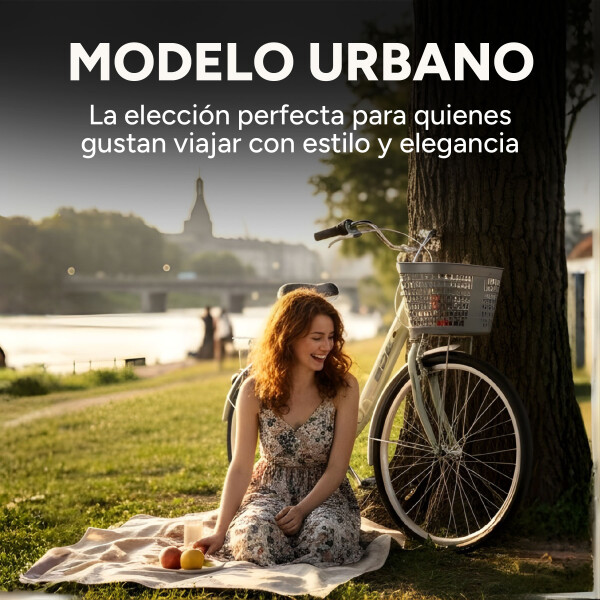 Bicicleta BDF Paseo Urbana Rodado 26 " Canasto Freno V-Brake Gris 1