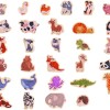 Set imanes HAPE animales Set imanes HAPE animales