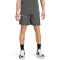 UA Baseline Short-BLU GRY-025