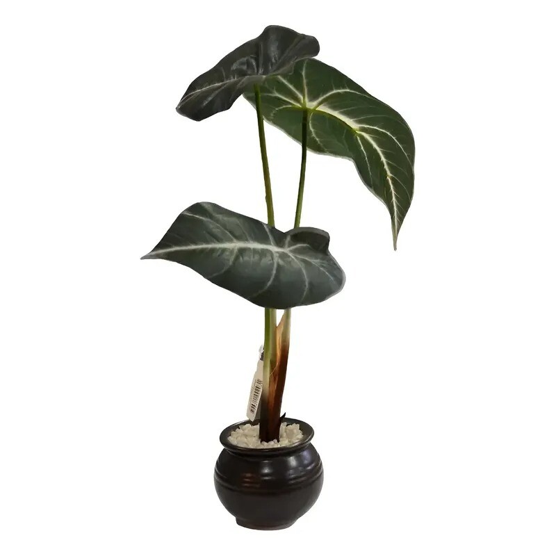 Planta Artificial Alocasia Planta Artificial Alocasia