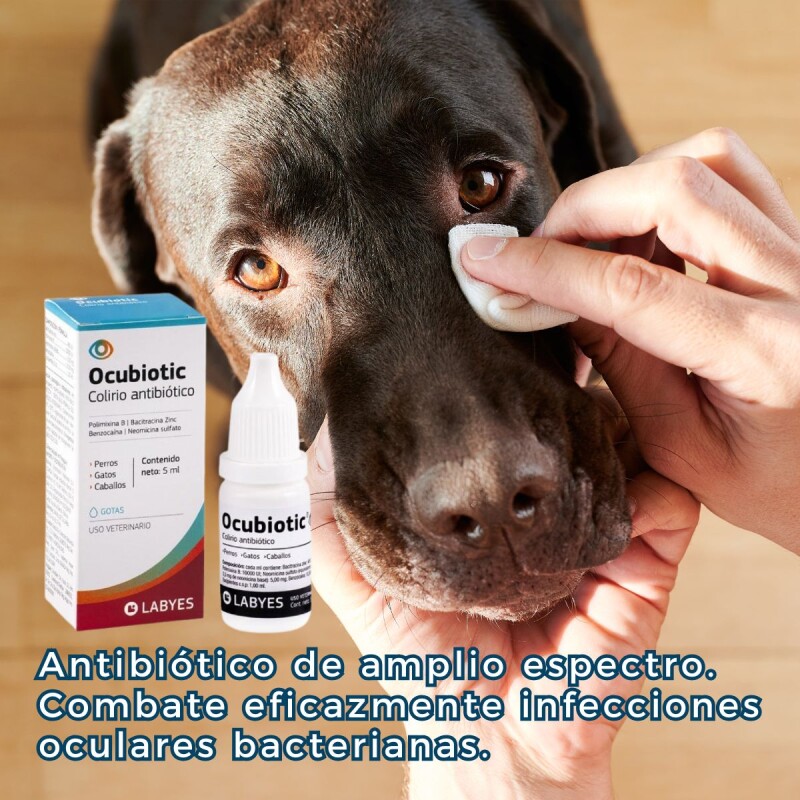 OCUBIOTIC COLIRIO ANTIBIÓTICO SIN ESTEROIDES 5 ML OCUBIOTIC COLIRIO ANTIBIÓTICO SIN ESTEROIDES 5 ML