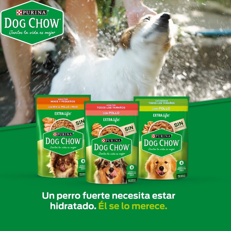 DOG CHOW EN SALSA ADULTO POLLO 100 GRAMOS DOG CHOW EN SALSA ADULTO POLLO 100 GRAMOS