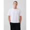 INTL HVY CROP LOGO T OPTIC WHITE V6