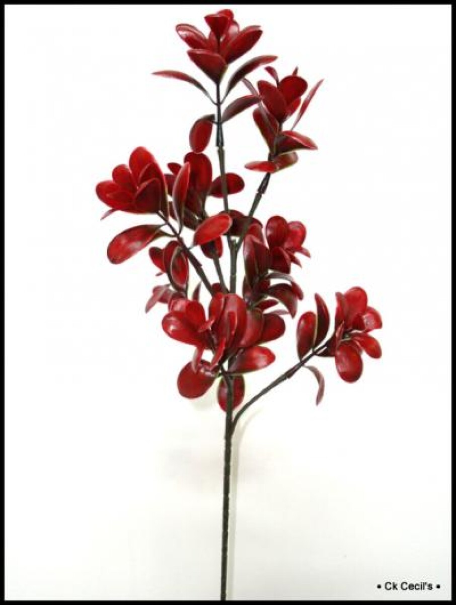 BOXWOOD GIANT SPRAY X9LVS 74CM BROWN GREEN 