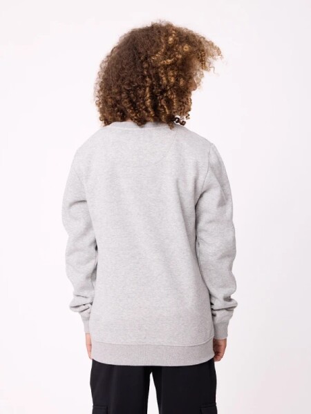 BUZO RUSTY QUALI GRIS