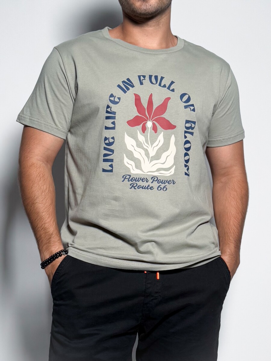 Remera estampada Isai - Verde 