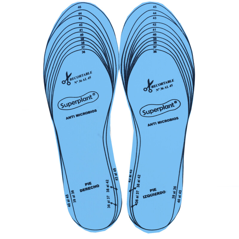 Limpiador Wassington Plantilla Anti Bacteriana Celeste