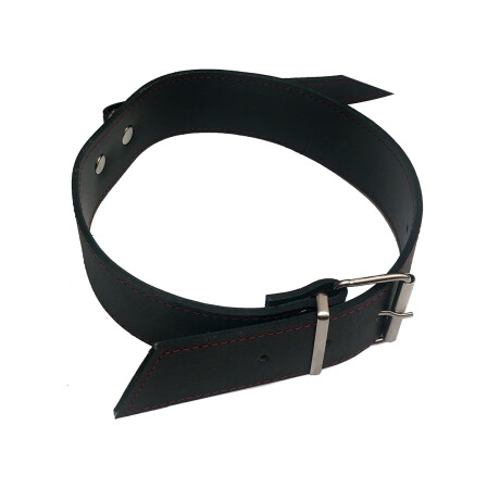 Collar Cuero y Correa Collar Cuero y Correa