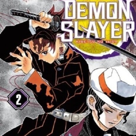 DEMON SLAYER (2) DEMON SLAYER (2)