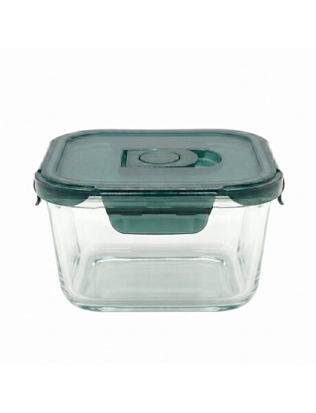 RECIPIENTE REDONDO BOROSILICATO 950ML D18XH8CM RECIPIENTE REDONDO BOROSILICATO 950ML D18XH8CM