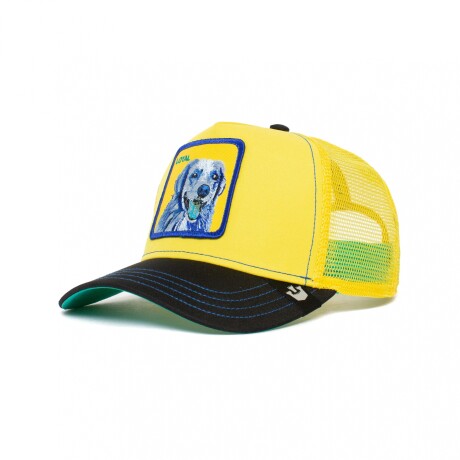 GORRO GOORIN BROS DOGGY TRIP Yellow