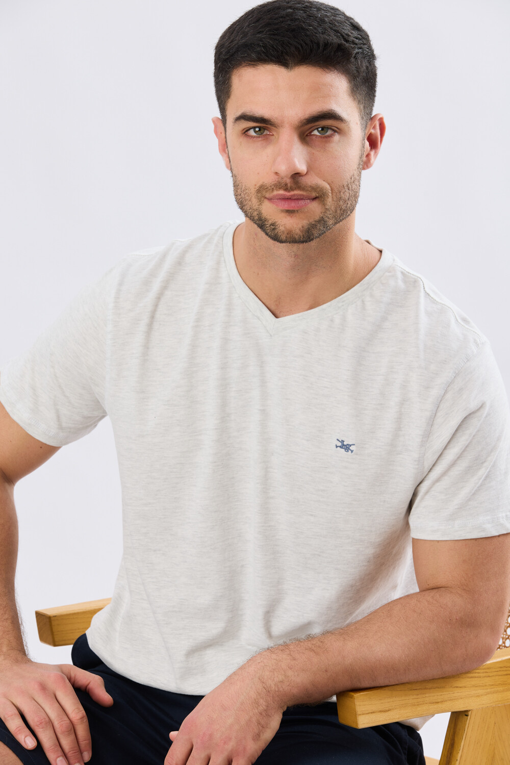 REMERA BÁSICA V DE ALGODÓN Gris
