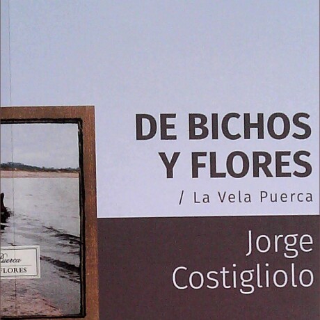 DE BICHOS Y FLORES. LA VELA PUERCA DE BICHOS Y FLORES. LA VELA PUERCA