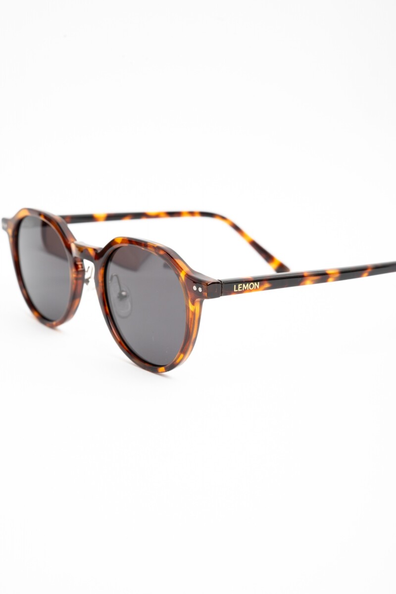 Lentes De Sol Polarizados Marron