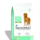 Equilibrio Perro Adulto Obesity & Diabetic 2 kg Equilibrio Perro Adulto Obesity & Diabetic 2 kg