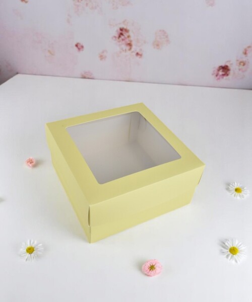Caja 20x20x9,5 c/visor. AMARILLO PASTEL