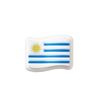 Jibbitz™ Charm Uruguay Flag Multicolor