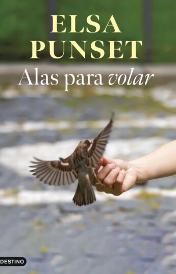 Alas para volar Alas para volar