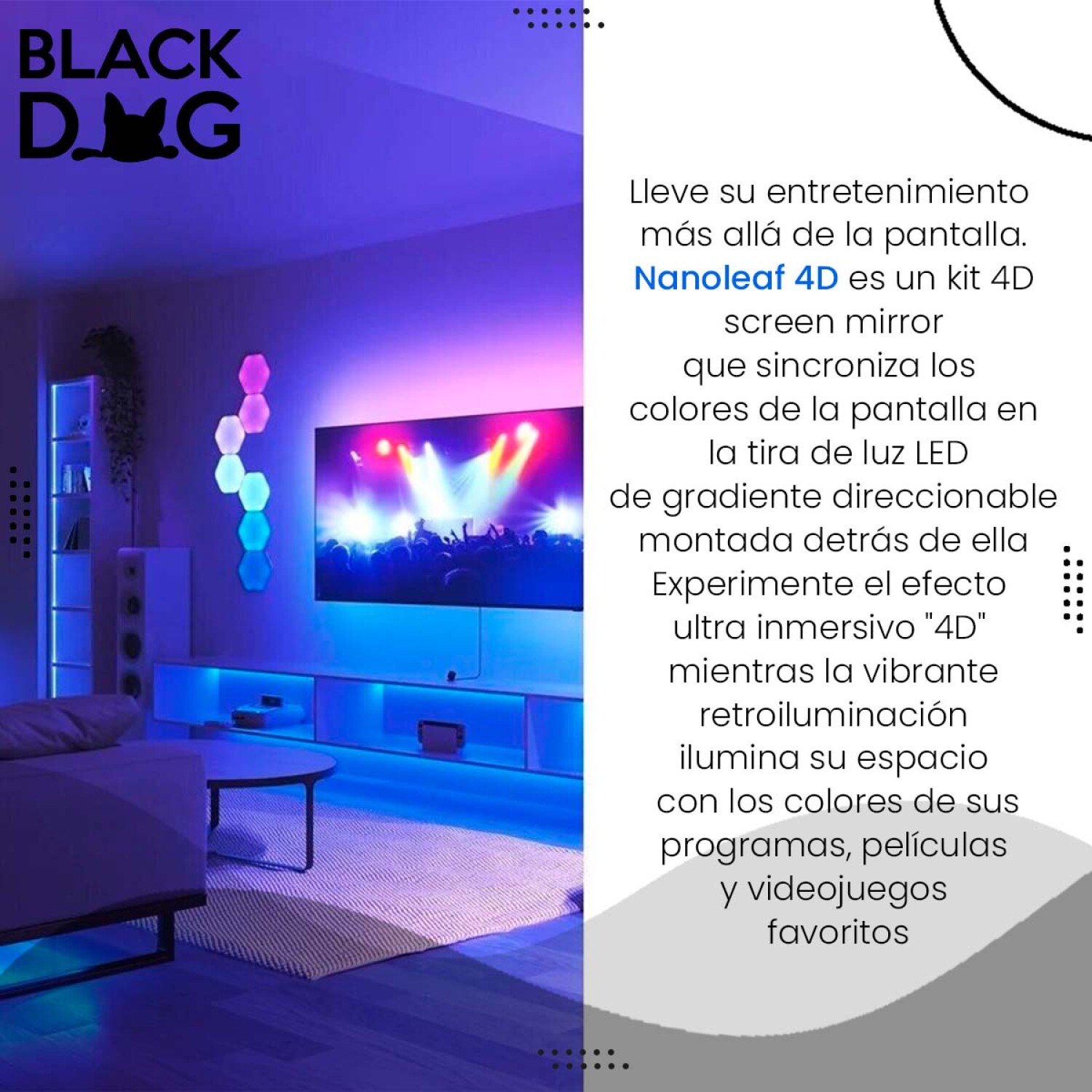 Kit De Streaming Aro Luz + Pantalla Verde Trust 24881 — Black Dog