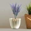 Ramo de Lavanda N/a