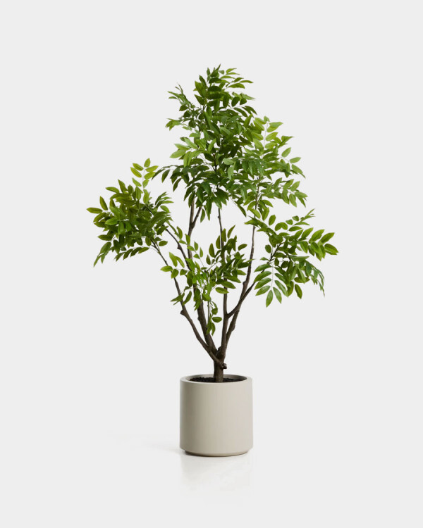 Árbol artificial Rhus con maceta blanca 185 cm Árbol artificial Rhus con maceta blanca 185 cm