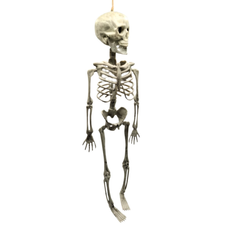 Esqueleto de Halloween Esqueleto de Halloween