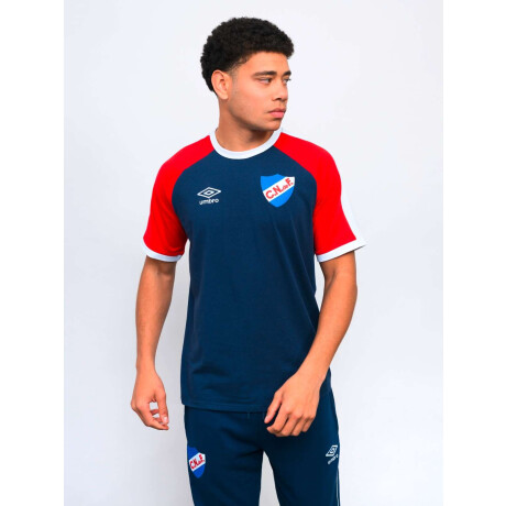 Remera Fitz de Hombre Multicolor