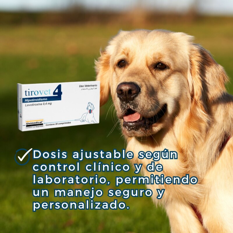 TIROVET 4 LEVOTIROXINA 0.4 MGS CAJA 20 COMPRIMIDOS TIROVET 4 LEVOTIROXINA 0.4 MGS CAJA 20 COMPRIMIDOS