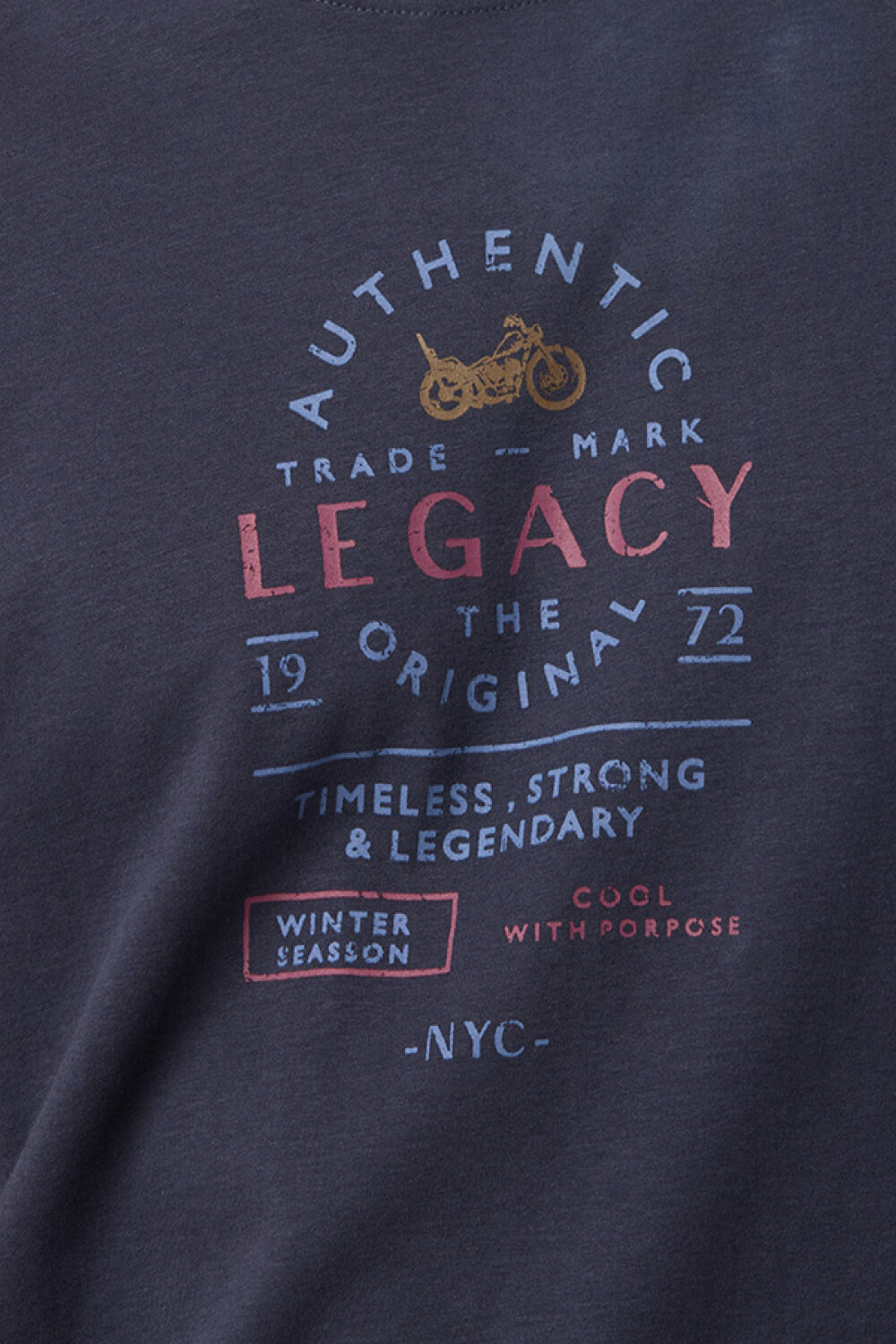 REMERA ESTAMPADA DE ALGODÓN Azul