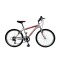 Bicicleta Baccio R.24 Niño Mtb Alpina Gris