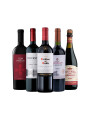 Pack Bacán Selección Para compartir x5 vinos Pack Bacán Selección Para compartir x5 vinos