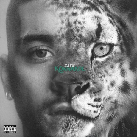 Zayn - Konnakol - Vinilo Zayn - Konnakol - Vinilo