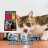 THREE CATS CASTRADOS 10 KILOS