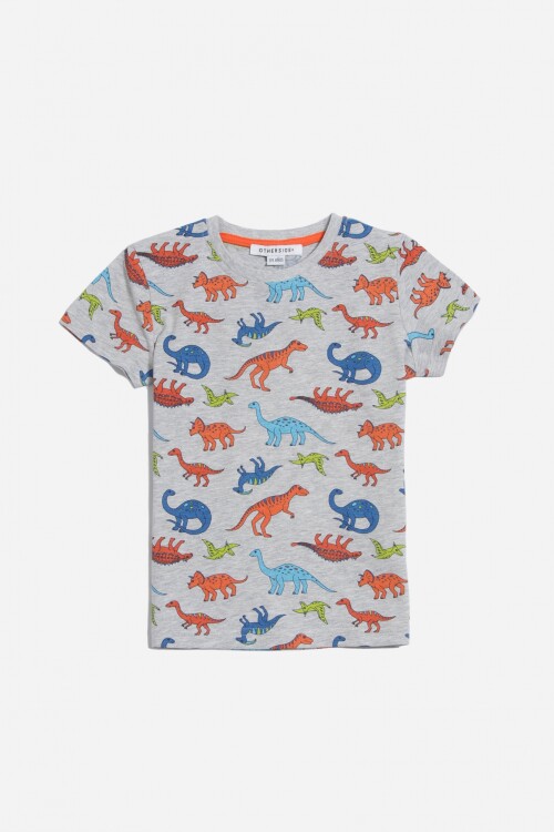 Remera dinosaurios GRIS