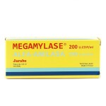 MEGAMYLASE JARABE FRASCO X 125 ML. única
