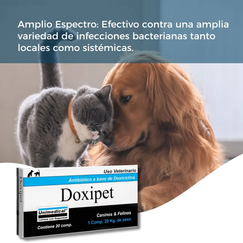 DOXIPET ATIBIÓTICO PARA PERROS Y GATOS CAJA 20 COMPRIMIDOS DOXIPET ATIBIÓTICO PARA PERROS Y GATOS CAJA 20 COMPRIMIDOS