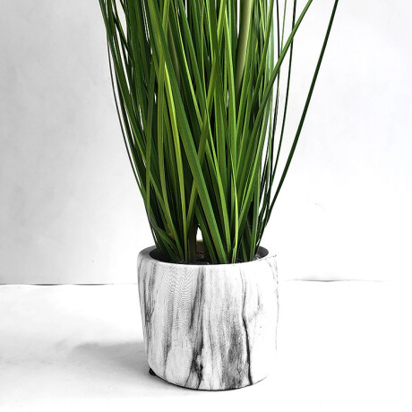Planta Con Maceta Flor Pompom Planta Con Maceta Flor Pompom