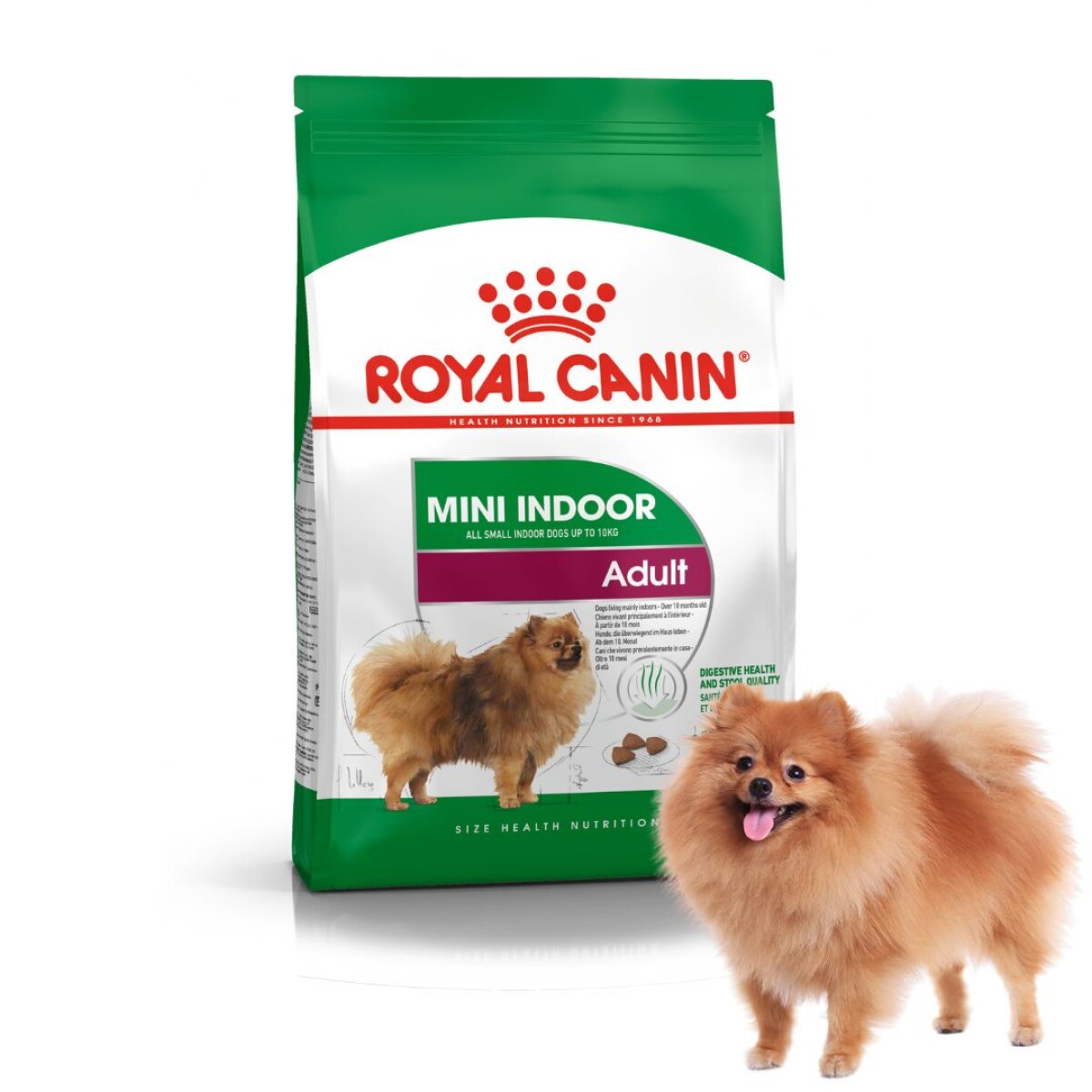 Royal Canin Mini Indoor Adulto 3 Kg 