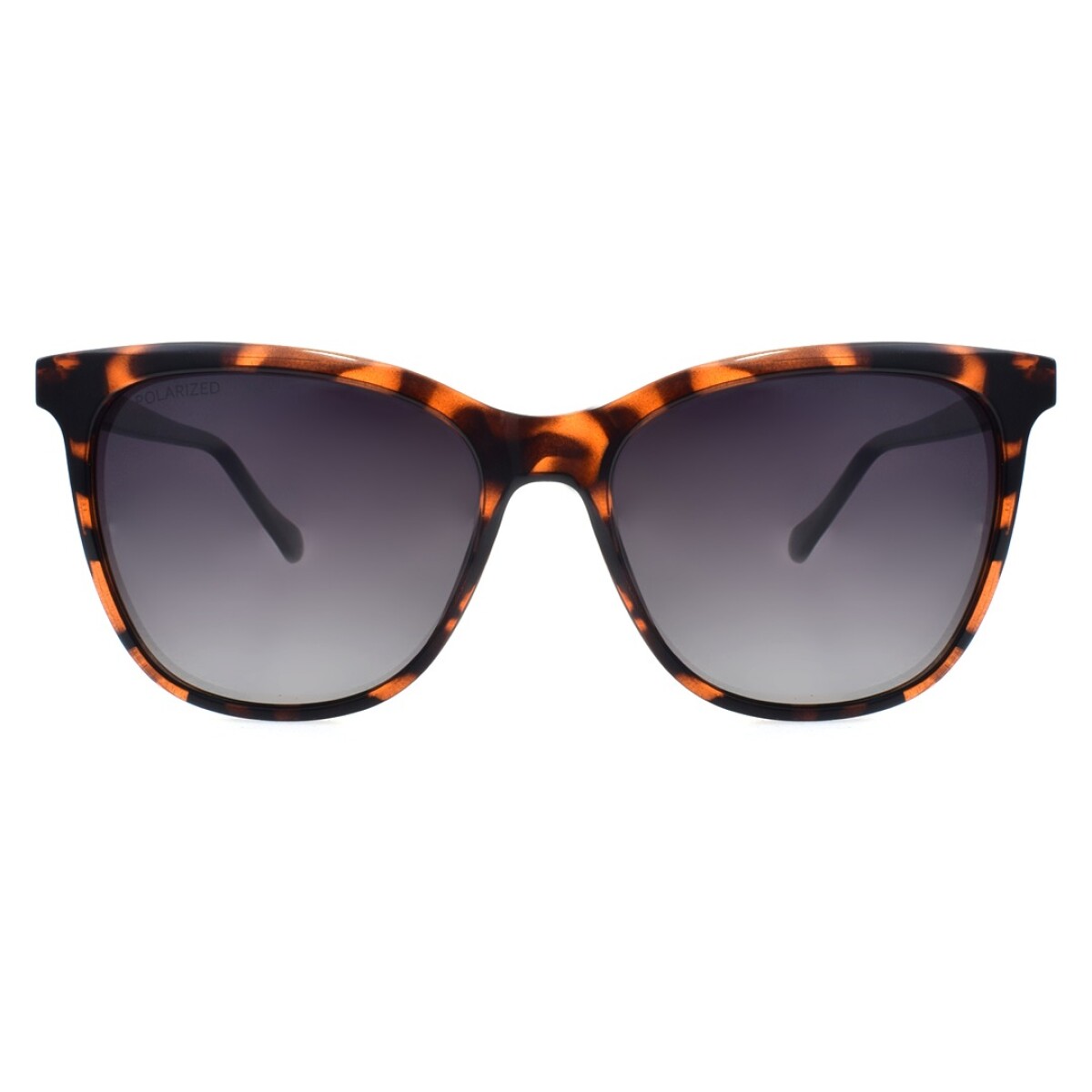 Lentes de Sol Chilli Beans Charlotte Cat - Animal Print 