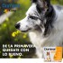 PIPETA ANTIPULGAS Y GARRAPATAS PARA PERROS DOMINAL KONIG DE 25,1 A 40 KG