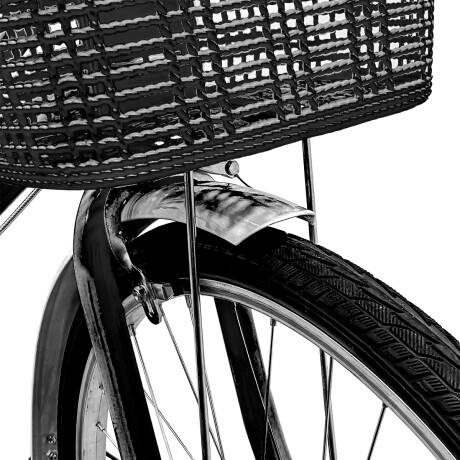 Bicicleta Paseo Expert Miami Dama Rodado 26 + Bolso + Parrilla Negro